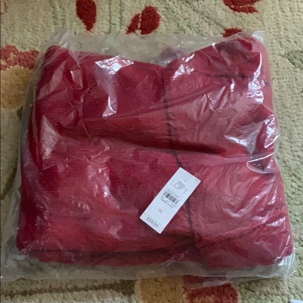 NEVER WORN NEVER OPENED SWEATER FROM THE LOFT